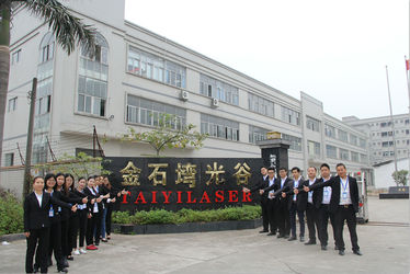 중국 Taiyi Laser Technology Company Limited